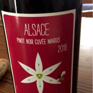 Pinot Noir MARIUS - Vincent Fleith - brigitte-et-vincent-fleith
