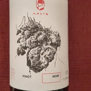 Pinot Noir - Marto Wines - Weingut Wörner - Martin Wörner -2021