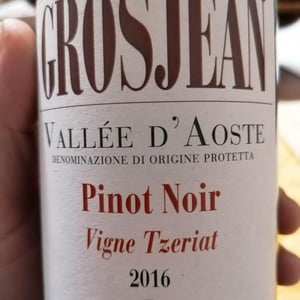 Pinot Noir - Grosjean - famiglia-grosjean