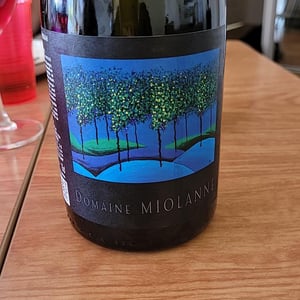 Pinot Noir - Domaine Miolanne - Jean-Baptiste Deroche & Laure Cartier 