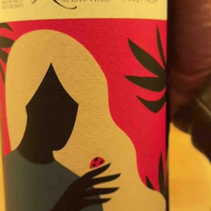 Pinot Noir Nature - Domaine Ricardelle De Lautrec - lionel-boutie