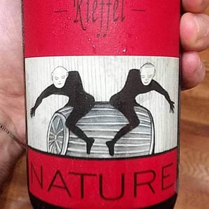 Lucas & André Rieffel - Lucas Rieffel - Pinot Noir Nature