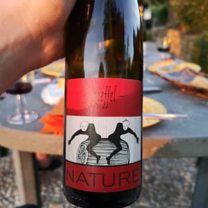 Lucas & André Rieffel - Lucas Rieffel - Pinot Noir Nature