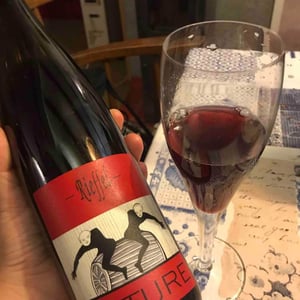 Lucas & André Rieffel - Lucas Rieffel - Pinot Noir Nature