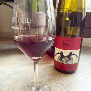 Lucas & André Rieffel - Lucas Rieffel - Pinot Noir Nature