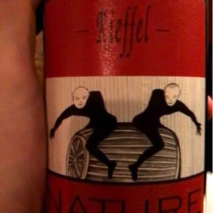 Lucas & André Rieffel - Lucas Rieffel - Pinot Noir Nature