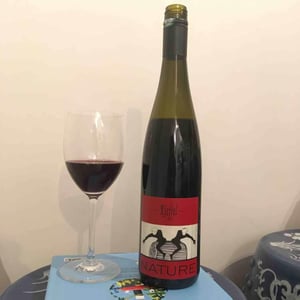 Lucas & André Rieffel - Lucas Rieffel - Pinot Noir Nature