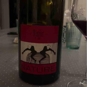 Lucas & André Rieffel - Lucas Rieffel - Pinot Noir Nature