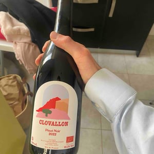 Pinot Noir (new label) - Domaine de Clovallon - Alix Roque -2021