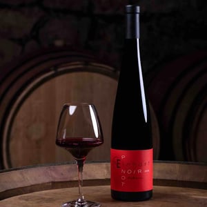 Pinot Noir - Domaine Einhart - Nicolas & Théo EINHART 