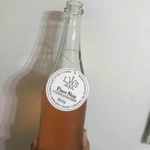 Pinot Noir On Chardonnay Skins - LAS Vino - nic-peterkin-48