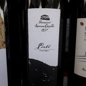 Pinot Noir PINTO' - Bosnasco Italy - possessione-sparano-capelli