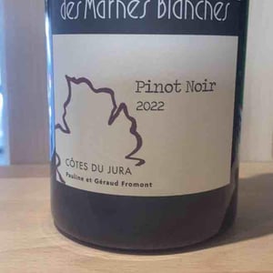 Pinot Noir - Domaine Des Marnes Blanches - Pauline & Géraud Fromont 