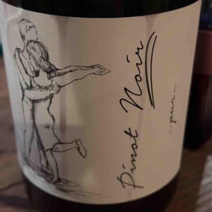 Pinot Noir Pur - Brand Bros - Weingut Brand - daniel-jonas-brand