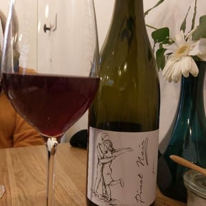 Brand Bros - Weingut Brand - Daniel & Jonas Brand - Pinot Noir Pur