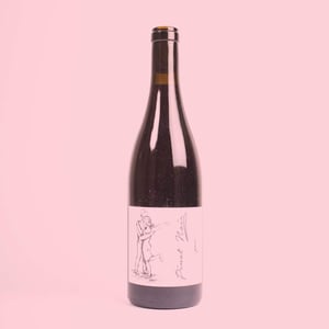 Pinot Noir Pur - Brand Bros - Weingut Brand - daniel-jonas-brand