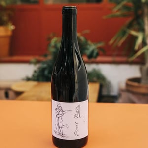 Pinot Noir Pur - Brand Bros - Weingut Brand - daniel-jonas-brand