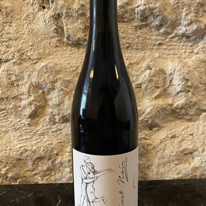 Pinot Noir Pur - Brand Bros - Weingut Brand - daniel-jonas-brand