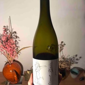 Pinot Noir Pur - Brand Bros - Weingut Brand - Daniel & Jonas Brand 
