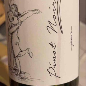 Pinot Noir Pur - Brand Bros - Weingut Brand - daniel-jonas-brand