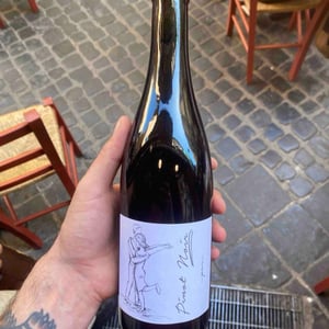 Pinot Noir Pur - Brand Bros - Weingut Brand - Daniel & Jonas Brand 