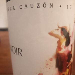 Pinot Noir - Bodega Cauzon - ramon-saavedra