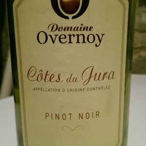 Pinot Noir - Domaine Overnoy - guillaume-overnoy