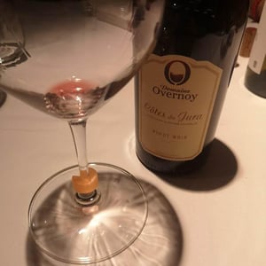 Pinot Noir - Domaine Overnoy - Guillaume Overnoy 