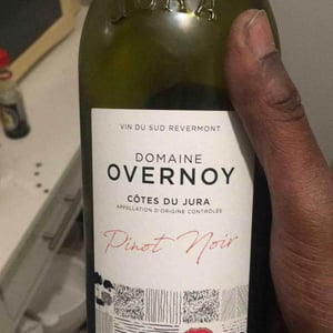 Pinot Noir - Domaine Overnoy - Guillaume Overnoy 