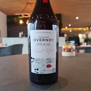Pinot Noir - Domaine Overnoy - guillaume-overnoy