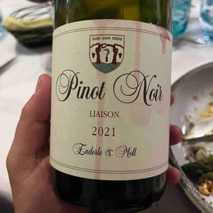 Pinot Noir - Enderle & Moll - Florian Moll & Max Lecat 