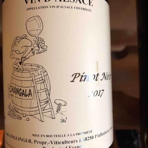 Pinot Noir - Jean Ginglinger & Fils - Jean-Francois Ginglinger 