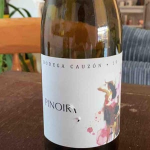 Pinot Noir - Bodega Cauzon - Ramón Saavedra 