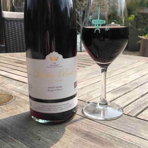 Pinot Noir Rouge d'Alsace - Didier Beck - didier-beck