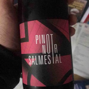 Pinot Noir Salmestal 2018