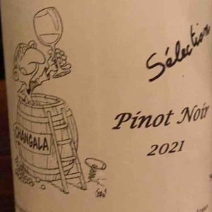 Pinot Noir Sand - Jean Ginglinger & Fils - Jean-Francois Ginglinger 