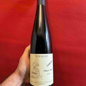 Pinot Noir Sandstein - Jean Ginglinger & Fils - Jean-Francois Ginglinger 
