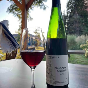 Pinot Noir Sandstein - Jean Ginglinger & Fils - jean-francois-ginglinger