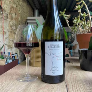 Pinot Noir Sous La Roche - Domaine de la Borde - Julien Mareschal 