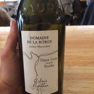 Pinot Noir Sous La Roche - Domaine de la Borde - Julien Mareschal 
