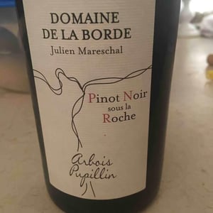 Pinot Noir Sous La Roche - Domaine de la Borde - julien-mareschal