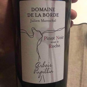 Pinot Noir Sous La Roche - Domaine de la Borde - Julien Mareschal 