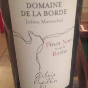 Pinot Noir Sous La Roche 2017 - Domaine de la Borde - Julien Mareschal