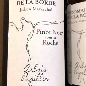 Pinot Noir Sous La Roche - Domaine de la Borde - julien-mareschal