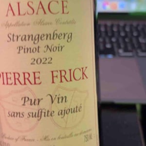 Pinot Noir Stein - Domaine Pierre Frick - jean-pierre-chantal-et-thomas-frick