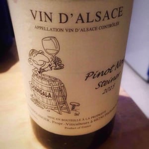 Pinot Noir Steiner 2015
