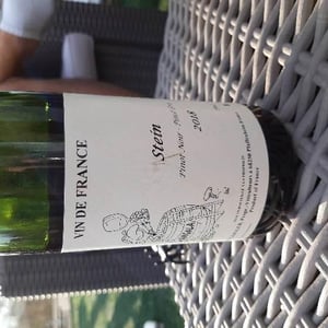 Pinot Noir Steiner - Jean Ginglinger & Fils - Jean-Francois Ginglinger 