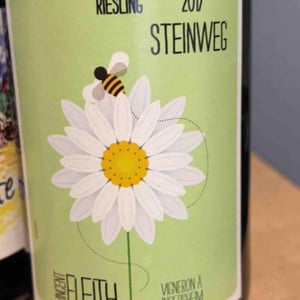 Pinot Noir Steinweg - Vincent Fleith - Brigitte et Vincent Fleith 