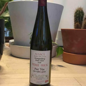 Strangenberg Pinot Noir - Domaine Pierre Frick - jean-pierre-chantal-et-thomas-frick -2022
