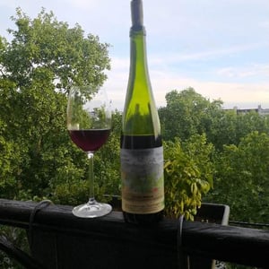 Pinot Noir Sur Schistes - Anna, André & Yann Durrmann - anna-andre-yann-durrmann